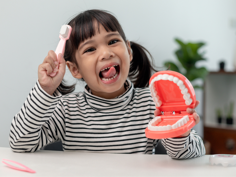 O regresso às aulas e as consultas de rotina